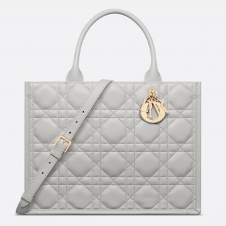 Medium Dior Book Tote